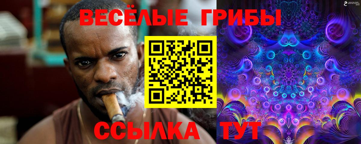 Галлюциногенные грибы Psilocybine cubensis Барнаул