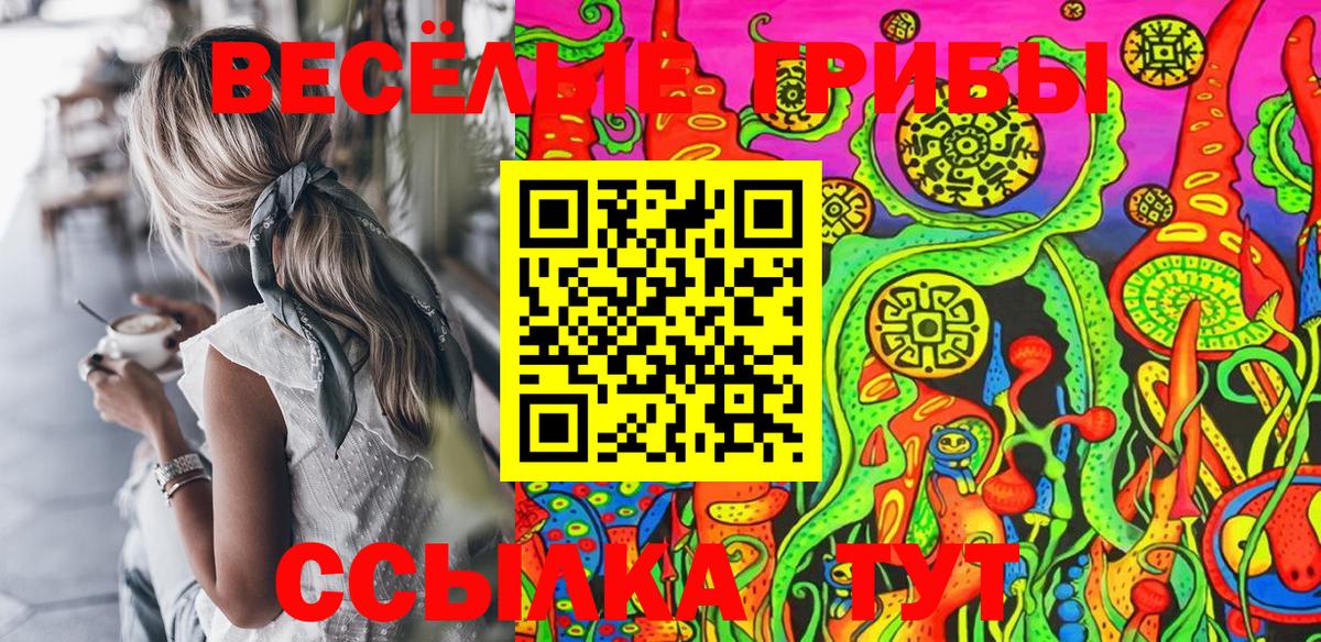 Галлюциногенные грибы Cubensis  Вход с VPN  Барнаул 